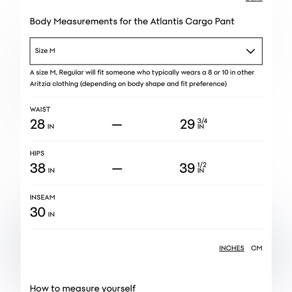 Aritzia The Group Atlantis Cargo Pant - Picture 5 of 9